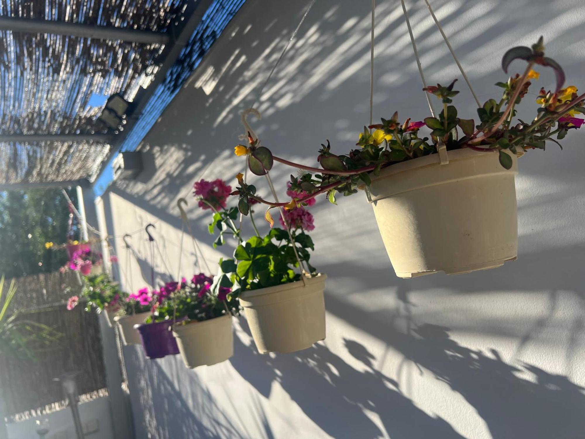 Atico Rilque, Apartamentos Independientes Con Jacuzzi Privado Y Terraza En Ronda Exterior photo
